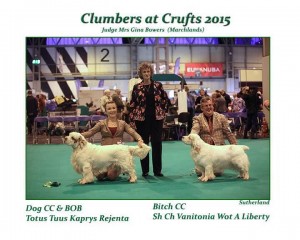Lucy, Crufts 2015